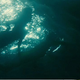Image for article titled In Time really is Occupy Wall Street: The Movie